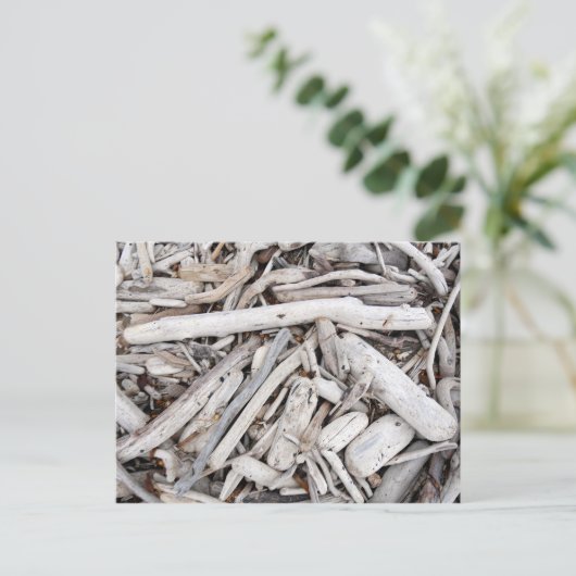 Driftwood Briefkaart (Staand voorkant)