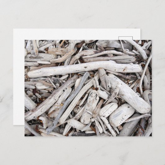 Driftwood Briefkaart (Voorkant / Achterkant)
