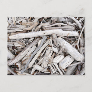 Driftwood Briefkaart