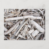 Driftwood Briefkaart (Voorkant)