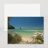 Driftwood Briefkaart (Voorkant / Achterkant)