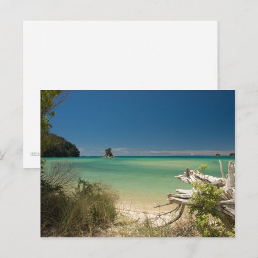 Driftwood Briefkaart (Voorkant / Achterkant)