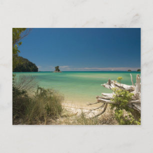 Driftwood Briefkaart