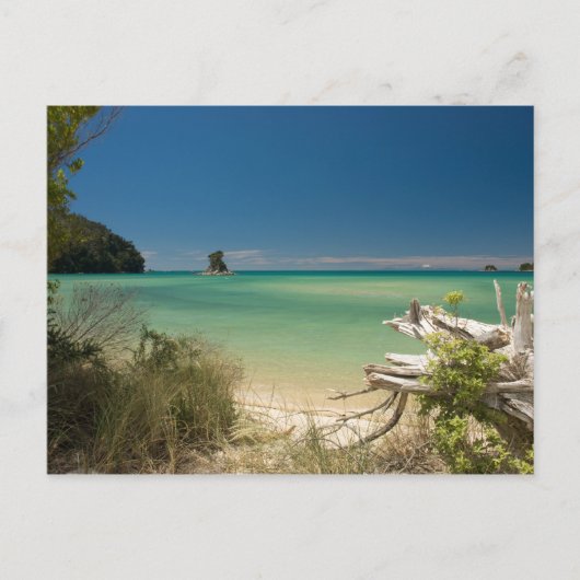 Driftwood Briefkaart (Voorkant)