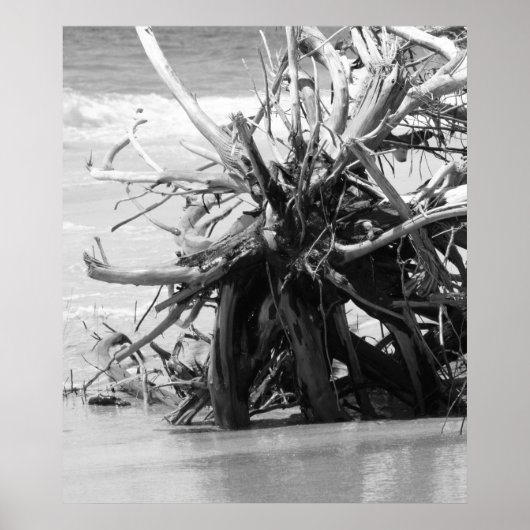 Driftwood Burial Poster (Voorkant)