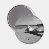 Driftwood Discovery Park Magneet (Voorkant / Achterkant)