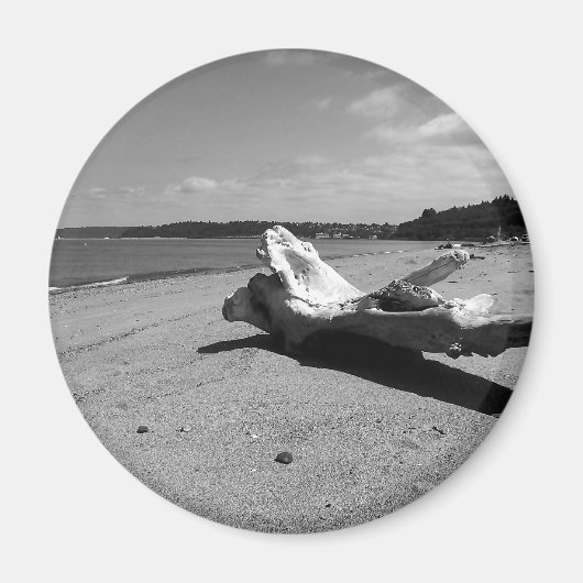 Driftwood Discovery Park Magneet (Voorkant)