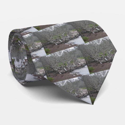 Driftwood en Eel Grass Sound Side OBX-Stropdas Stropdas (Opgerold)