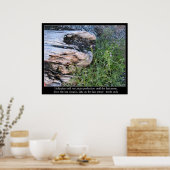 Driftwood en Zola Quote Poster (Keuken)