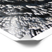 Driftwood Foto Afdruk (Hoek)