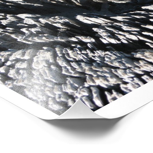 Driftwood Foto Afdruk (Hoek)