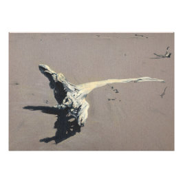 Driftwood Foto Afdruk