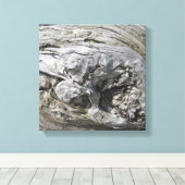 Driftwood Foto Uitgerekt Canvas Print (Insitu (Houten vloer))