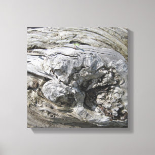 Driftwood Foto Uitgerekt Canvas Print