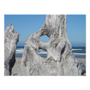 Driftwood fotografie prints Oceaanstrand golven Foto Afdruk