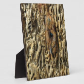 Driftwood Fotoplaat (Zijkant)