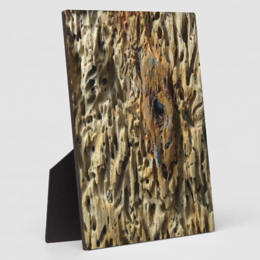 Driftwood Fotoplaat (Zijkant)