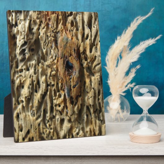 Driftwood Fotoplaat (Zijkant)