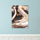 Driftwood - Foto's van Rocks National Lakeshore Canvas Afdruk (Insitu (Houten vloer))