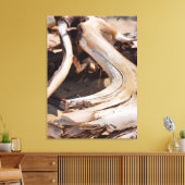 Driftwood - Foto's van Rocks National Lakeshore Canvas Afdruk (Insitu (Woonkamer))