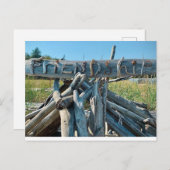 Driftwood Friendship Beach Scene Briefkaart (Voorkant / Achterkant)