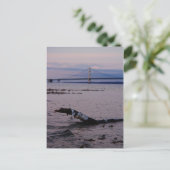 Driftwood in Lake Michigan Briefkaart (Staand voorkant)