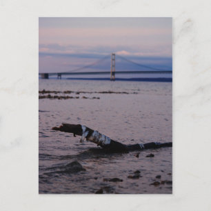 Driftwood in Lake Michigan Briefkaart