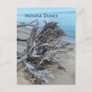 Driftwood Indiana Dunes National Park Magnet Briefkaart