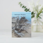 Driftwood Indiana Dunes National Park Magnet Briefkaart (Staand voorkant)