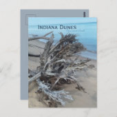 Driftwood Indiana Dunes National Park Magnet Briefkaart (Voorkant / Achterkant)