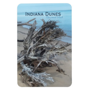 Driftwood Indiana Dunes National Park Magnet Magneet