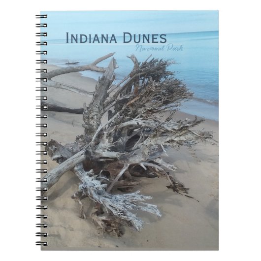 Driftwood Indiana Dunes National Park Magnet Post Notitieboek (Voorkant)
