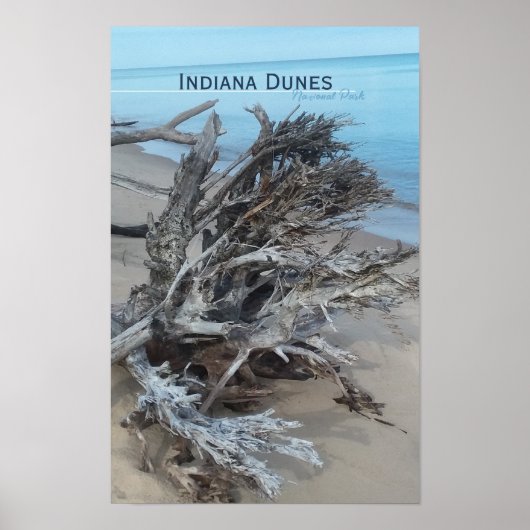 Driftwood Indiana Dunes National Park Magnet Post Poster (Voorkant)