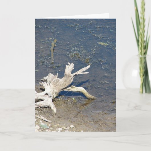 Driftwood Kaart (Voorkant)
