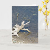 Driftwood Kaart (Gele Bloem)