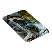 Driftwood op de Abstracte onderdrukking van de Roc Magneet (Rechterzijde)