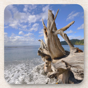 driftwood op de korte ijskast van Frans strand Drankjes Onderzetter