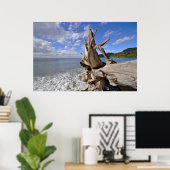 driftwood op de korte ijskast van Frans strand Poster (Thuiskantoor)