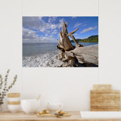 driftwood op de korte ijskast van Frans strand Poster (Keuken)