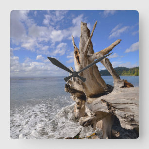 driftwood op de korte ijskast van Frans strand Vierkante Klok