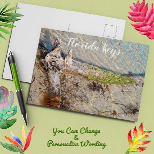 Driftwood op het strand van Florida Keys Briefkaart