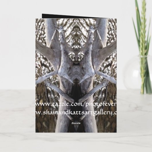 Driftwood over Stream Abstracte Kaart (Achterkant)