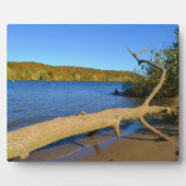 Driftwood Plaque Fotoplaat (Voorkant)