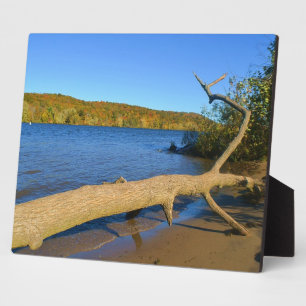 Driftwood Plaque Fotoplaat