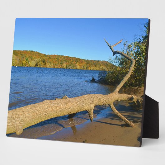 Driftwood Plaque Fotoplaat (Zijkant)