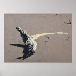 Driftwood Poster