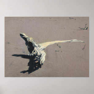 Driftwood Poster
