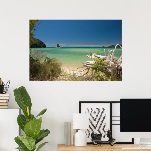 Driftwood Poster (Thuiskantoor)