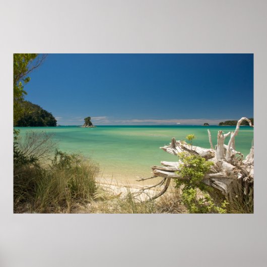 Driftwood Poster (Voorkant)