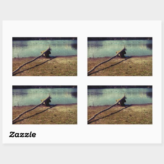 Driftwood Rechthoekige Sticker (Vel)